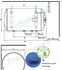 Bilight - Chauffe eau sanitaire mixte Horizontal Mural 100 litres ØxL = 440x995mm classe ERP C isol. ép.18mm résistance électrique blindé 230V 2000W + échangeur chauffage S=0.28m² (racc. bas)