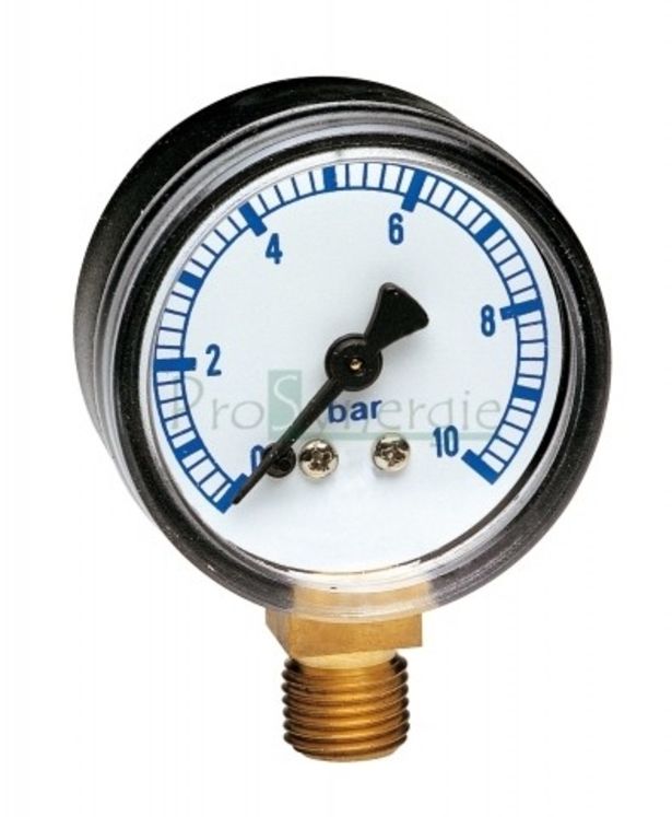 Manomètre à boîtier ABS Secs (-20/+60°C) Ø50mm raccordement radial laiton à visser mâle Ø1/4´´ - 0 à 10 bar