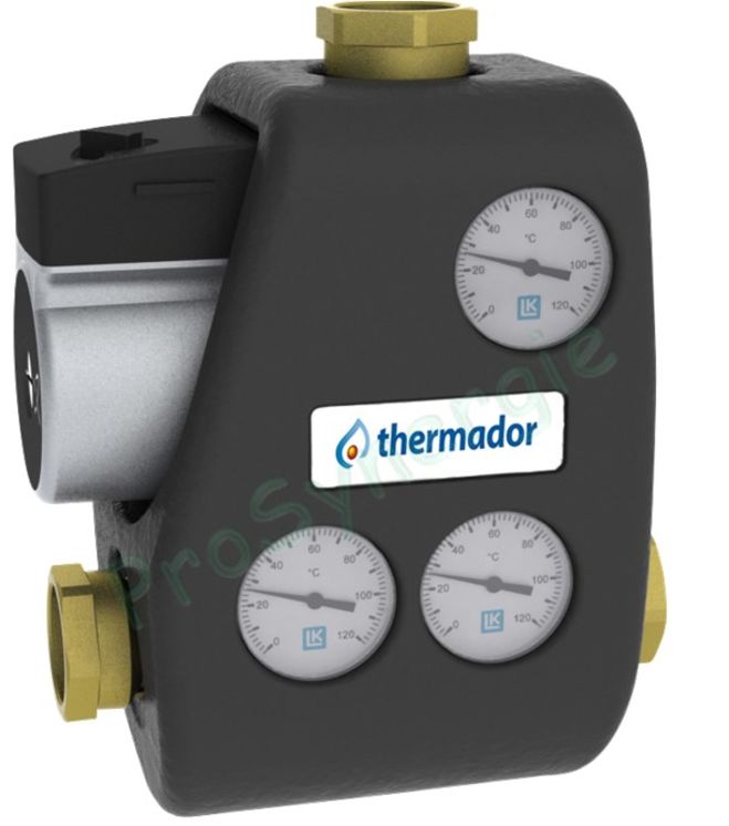 Module de relève de température de chaudière - Termovar Combi - F Ø 1.1/4´´ - 61°