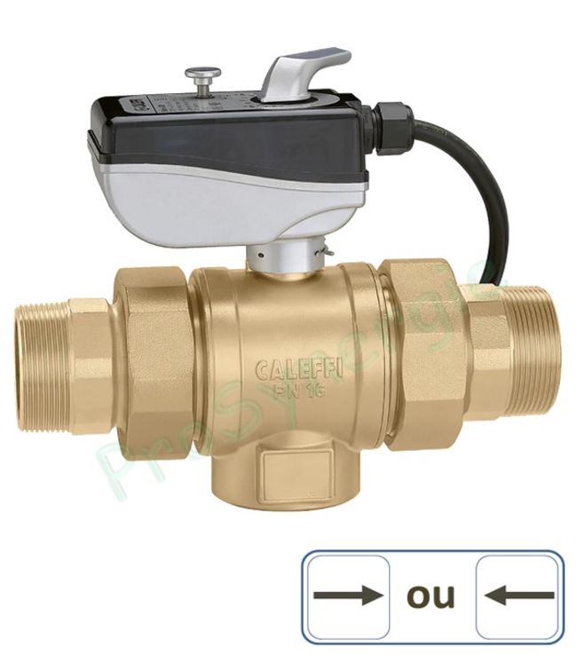 Vanne directionnelle Grands débits 2 voies - Moteur 230 V - Ø 1.1/2´´