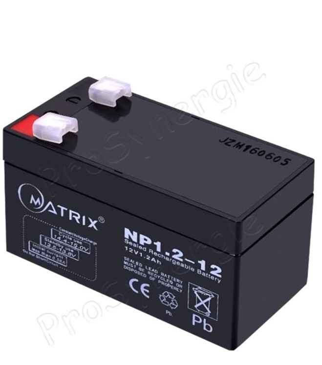 Batterie de Secours 12V 1.2Ah pour brûleur Pelltech PV 20/30/50/100/180