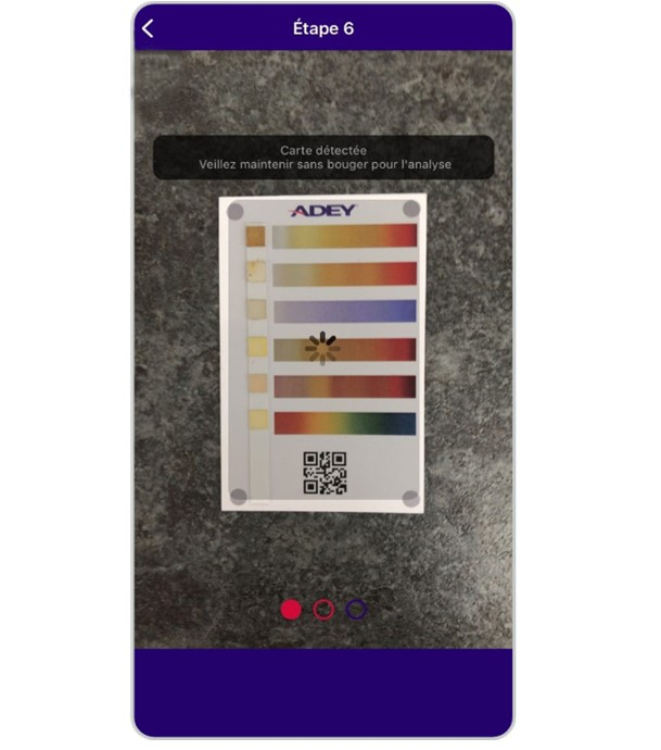 ADEY ProCheck® - Coffret Test Kit - Comprenant 25 bandes et 10 cartes et le code d´activation du compte