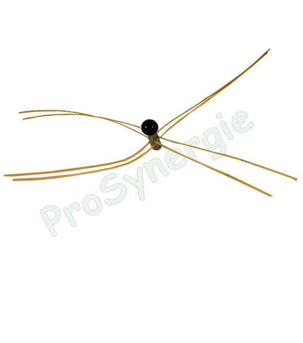 Canne de ramonage et débistrage Rotoflex (raccord rapide) Ø 18 mm - Longueur 1 m