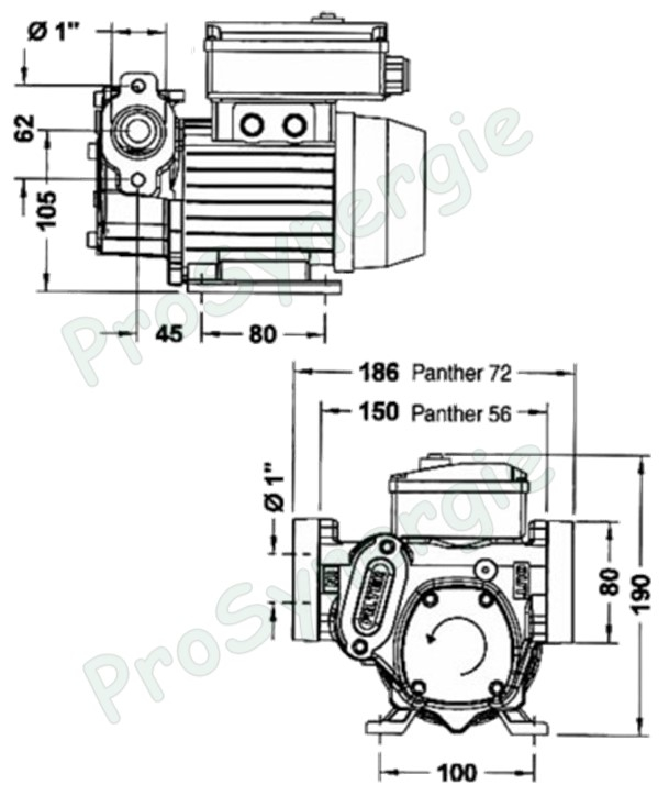 Pompe de transfert Piusi Panther 56 (230V-50Hz) 56l/min 230V 370W avec brides de connection ØF 1''